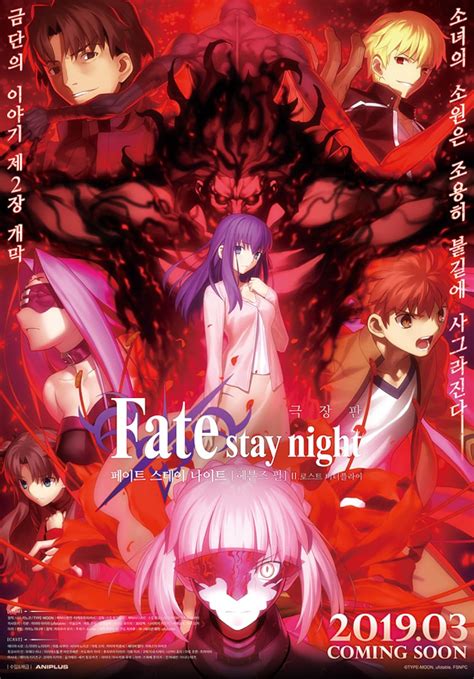 fate stay night imdb|More.